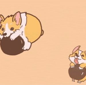 Meet your Posher, Jack